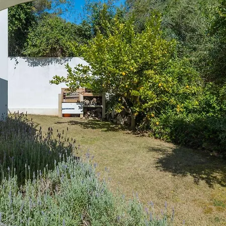 Villa Vista *